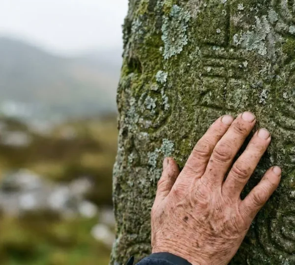 A weathered hand gently touching ancient Celtic stone carvings with Ogham inscriptions in soft natural light