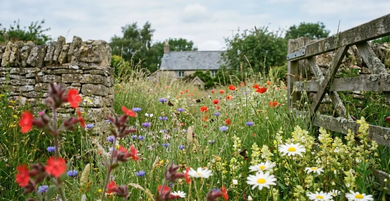 British native wildflower garden with diverse indigenous flora supporting pollinators in natural UK landscape