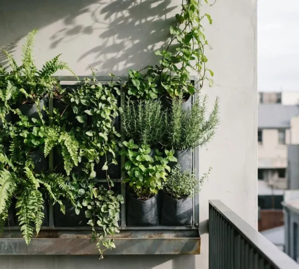 Lush vertical garden installation on a small urban balcony with trailing plants and modular planters
